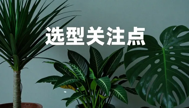 视觉呈现的性能表现与适用场景解析